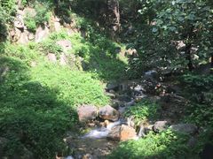 -泰山风景名胜区