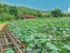 -红山村