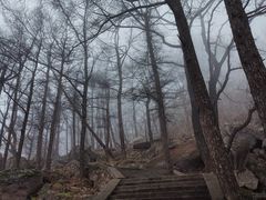 -崂山巨峰游览区