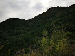 -北京西山国家森林公园