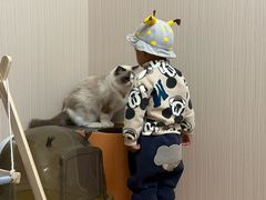 -唐小姐の私宠·宠物洗护美容·撸猫馆·购宠(周浦万达旗舰店)