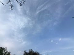 -木塔寺遗址生态公园