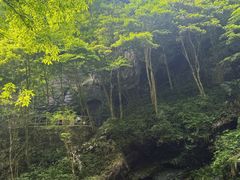 -石台牯牛降景区