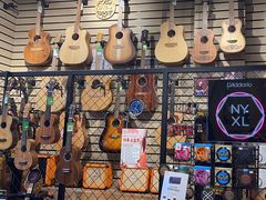 -柏斯琴行(汾阳店)