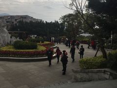-金鸡山公园