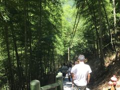 -藏龙百瀑风景区