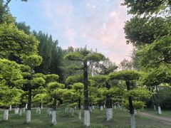 -大鹅岛绿色生态美食园