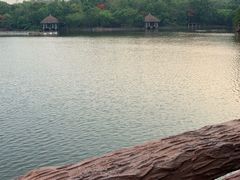 -清迈夜间动物园