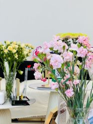 -WENDY·温迪皮肤管理