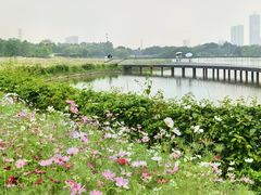 -海珠湖公园