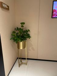 -广东韩妃整形外科医院