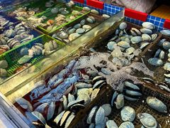 -驻海渔市(置信店)