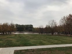 -大望京儿童游乐场