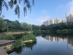 -前关湿地公园