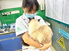 -瑞派动物医院·猫专科·至诚(江南中分院)