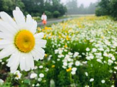 -桤木河湿地公园