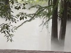 -东湖落雁景区