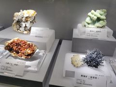 -湖南省地质博物馆