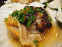 豉汁扇贝-京港生鲜(四道口店)