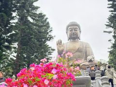 -天坛大佛