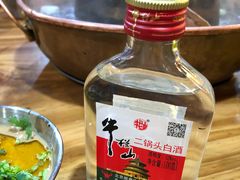 -东镇老火锅(长春路首店)