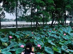 -惠州西湖风景名胜区-丰渚园