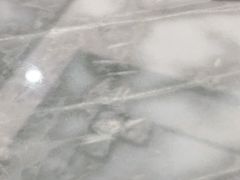 -黄但记老店·陈村粉食府