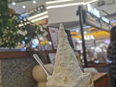 -野人先生Gelato(上海长宁龙之梦店)