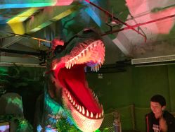 -恐龙探索乐园(磁器口店)
