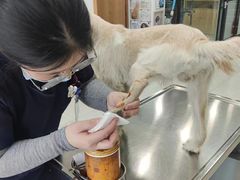 -中农大我爱我爱动物医院·核磁CT·猫病·24小时夜诊中心(石佛营店)
