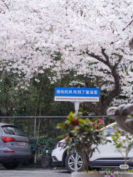 -童谣里医疗级月子中心(独栋湖景店)