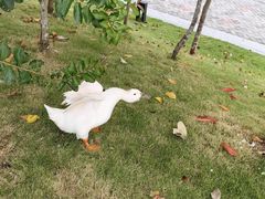 -深圳大学(丽湖校区)