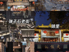 -成都大熊猫繁育研究基地