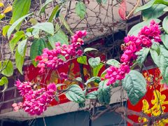 -三溪村