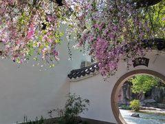 -深圳国际园林花卉博览园