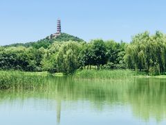 -北坞公园