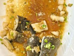 -九福楼大酒店