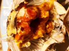 -黄记大闸蟹专卖店·活蟹·醉蟹