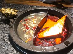 -蜀大侠火锅(建设路第五大道店)