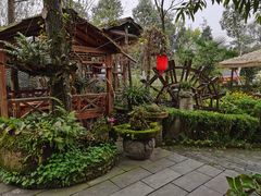 -青城甲(青城山店)