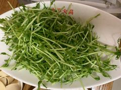 豆苗-木萨火锅店(开鲁路店)