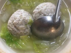 -丁老爷子苏香圆