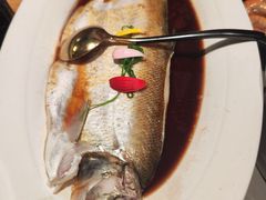 -醉庐·新上海菜(南京西路店)