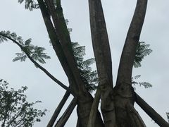 -两江国际影视城