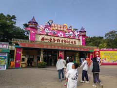 -广州长隆国际大马戏
