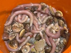 -北海金海湾红树林生态旅游区