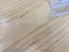 -食米家拌饭(梅溪新天地店)