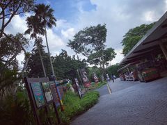-新加坡飞禽公园