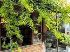 -菩提书坊(侨福大厦店)