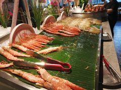 -五月罗马海鲜自助餐厅(陆家嘴店)